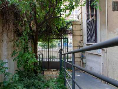 Prima di lasciare l�edificio andiamo a visitare il suo raro e prezioso giardino, che in realt� dopo anni di incuria � diventato quasi una piccola foresta